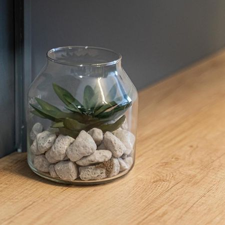 Apartament Delux 巴克乌 外观 照片